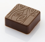 Chocolat Form Cocoa Leaf Pattern Square Praline Polycarbonate Chocolate Mould