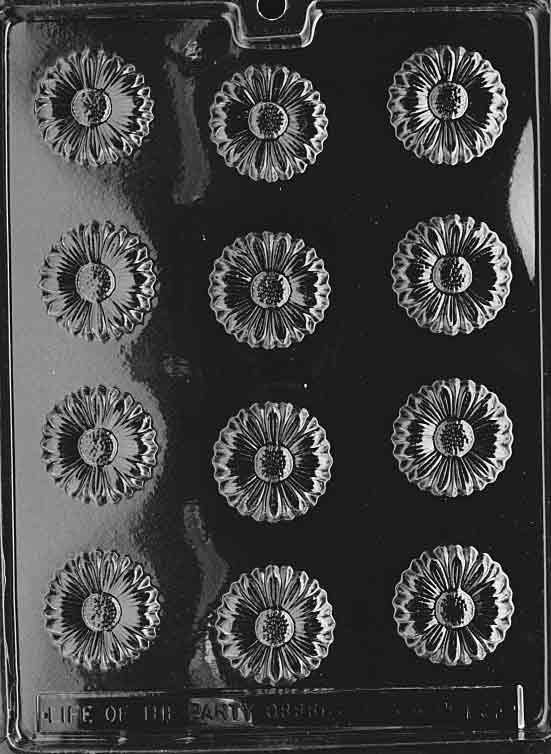 Asters Chocolate Mould