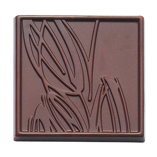 Cacao Barry 5g Tasting Bar Polycarbonate Chocolate Mould