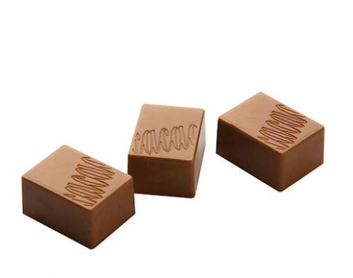 Chocolat Form Cocoa Logo Rectangular Praline Polycarbonate Chocolate Mould